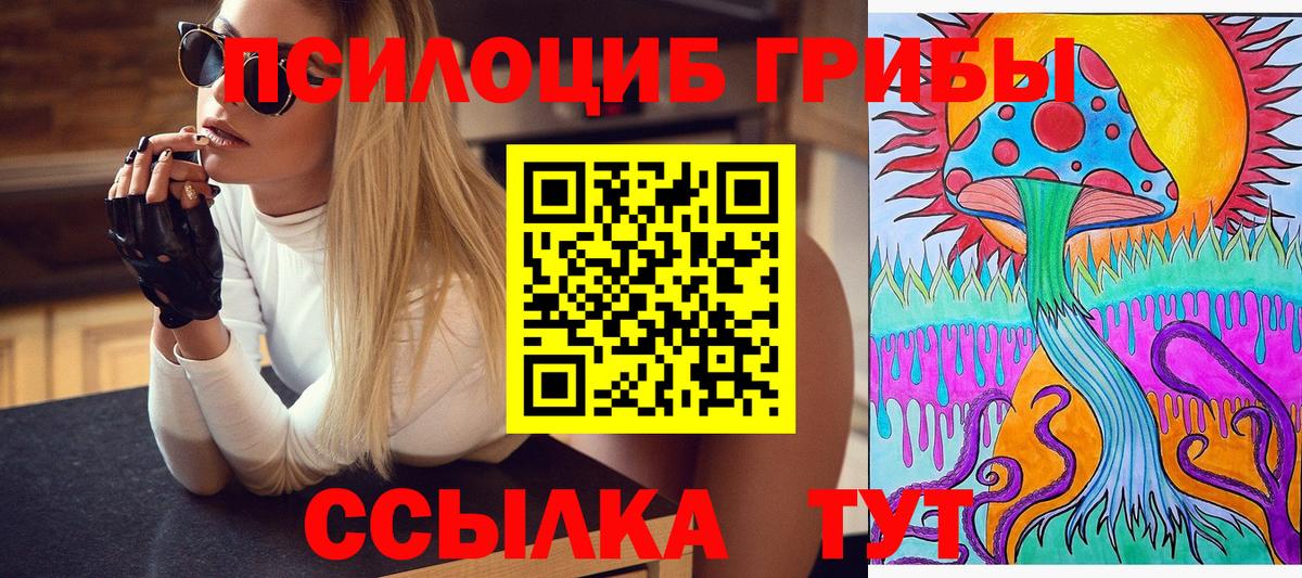 Галлюциногенные грибы Psilocybe Джанкой