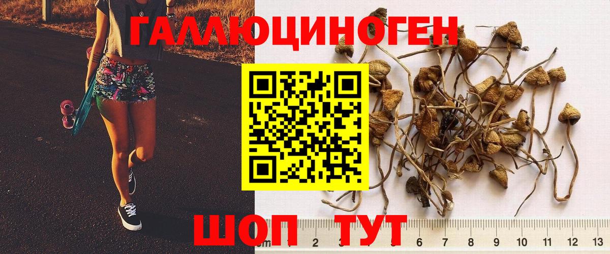 Галлюциногенные грибы GOLDEN TEACHER  Вход с VPN  закладка  Джанкой  Псилоцибиновые грибы GOLDEN TEACHER 